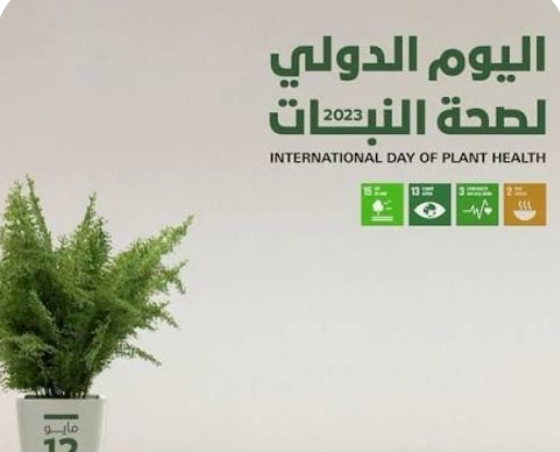 في يومها الدولي .. الصحة النباتية تشكل خط الدفاع الأول للأمن الغذائي والبيئي