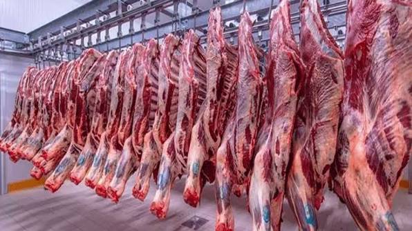 الزراعة النيابية: فحص شحنات اللحوم في مسلخ عمّان دون كشف حدودي