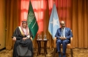 الرئيس الصومالي يبحث مع نائب وزير الخارجية السعودي العلاقات بين البلدين