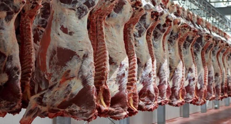 جمعية مربي المواشي: اللحوم الرومانية أصبحت أغلى من البلدية لأول مرة
