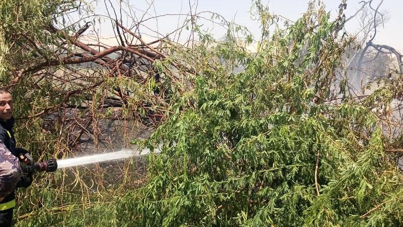 حريق يأتي على مساحات زراعية واسعة في الشونة الجنوبية
