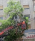 المناصير يوجّه الشكر للمهندسة رولا  الرحاحلة وكوادر شركة الكهرباء على جهودهم الميدانية