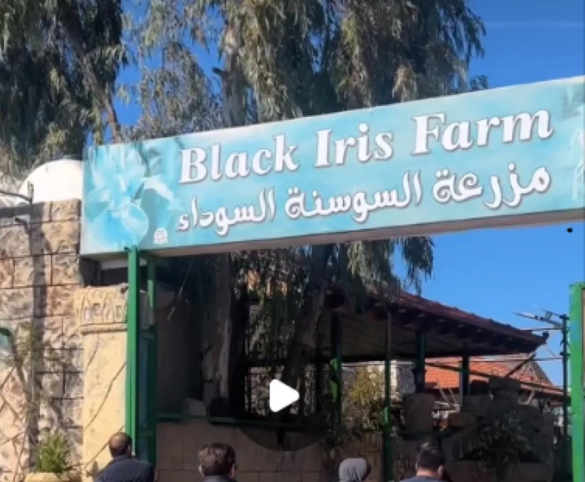 الخريشة: رئيس الوزراء سيتوجه إلى مزرعة السوسنة السوداء لإعادة افتتاحها