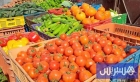 المغرب يتصدر موردي الخضر والفواكه إلى إسبانيا بواردات تجاوزت 710 ملايين يورو