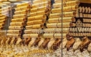 82.8 دينار سعر الذهب عيار 21 بالسوق المحلية