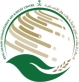 فريق المركز السعودي للثقافة والتراث يتفقد مشروع العمليات الجراحية العاجلة المدعوم من مركز الملك سلمان للإغاثة في غزة.